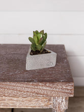 suculenta-maceta-concreto-regalos-para-hombres-regalos-para-mujer-regalos-de-cumpleanos-detalles-corporativos-recordatorios-habibi-plantitas.jpg